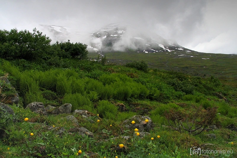 Kärkevagge