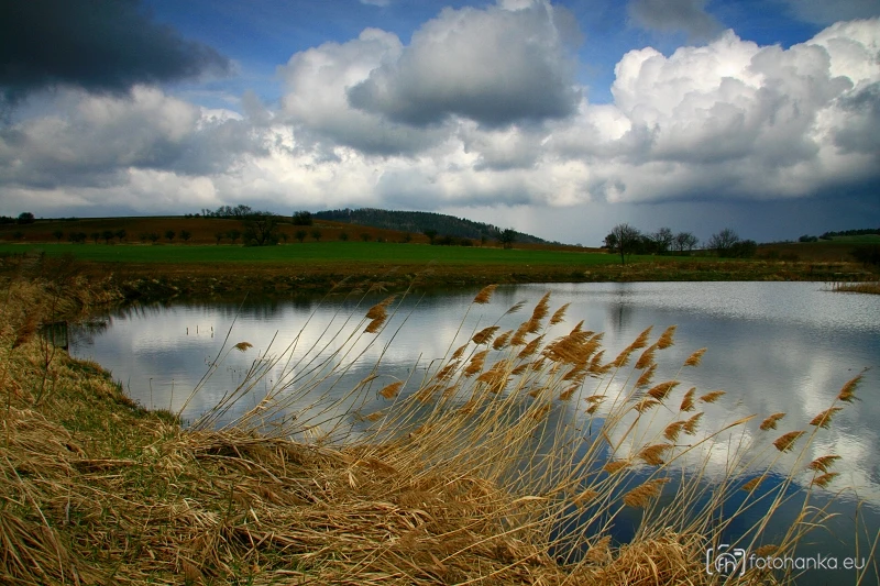 Mnichovec