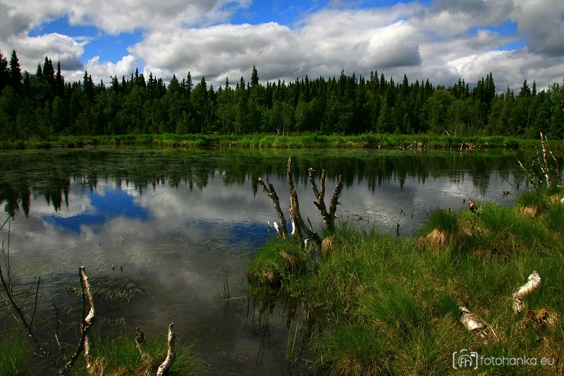 Mechové jezero