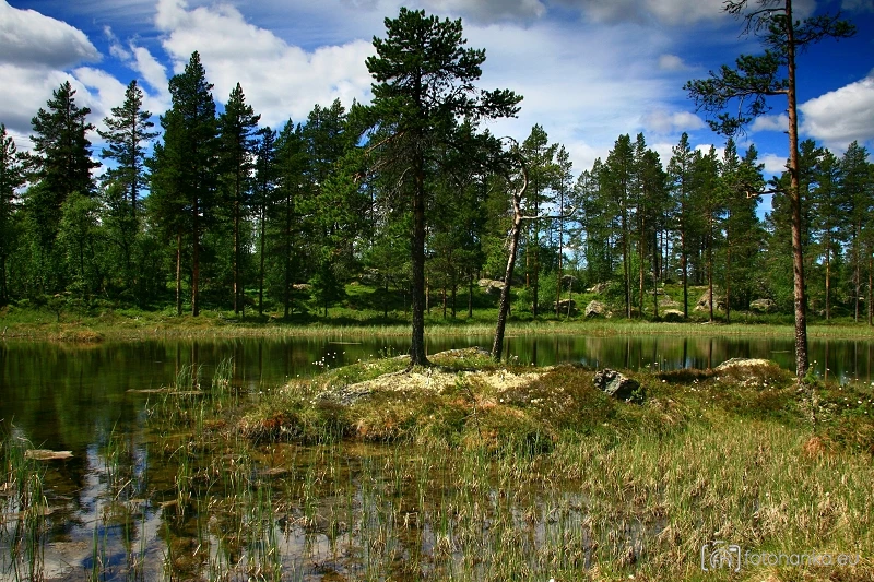 Mechové jezero
