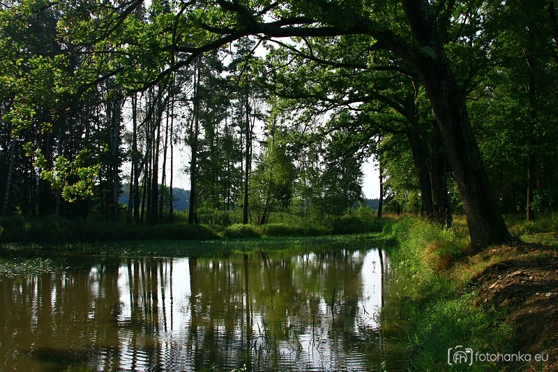 Travný rybník