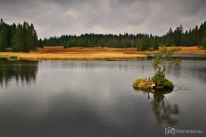 Rolavský rybník