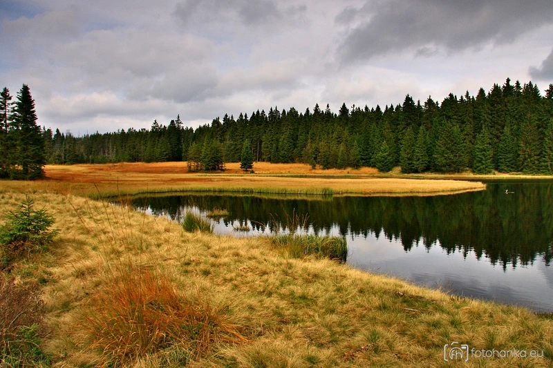 Rolavský rybník