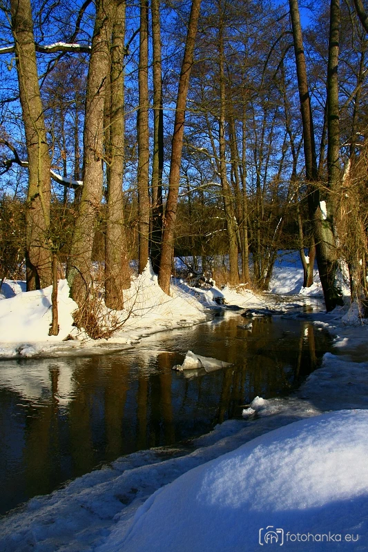 Janovický potok