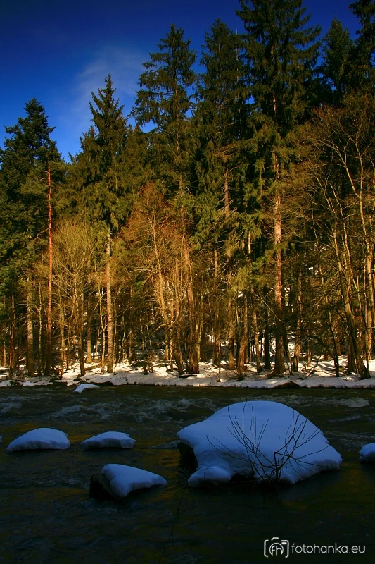Stvořidla