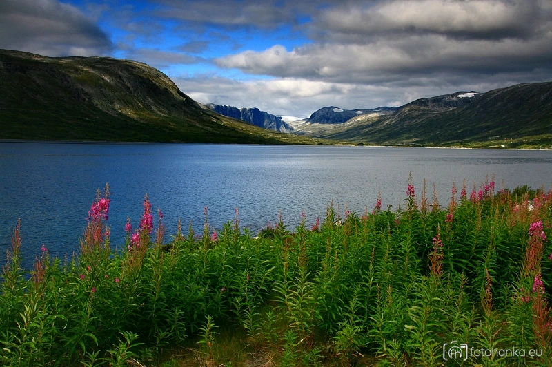 CESTOU NA GEIRANGER
