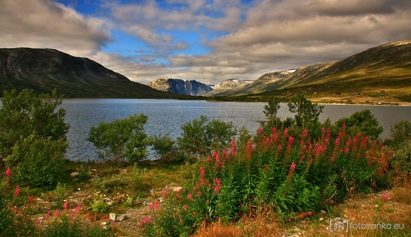 Norsko