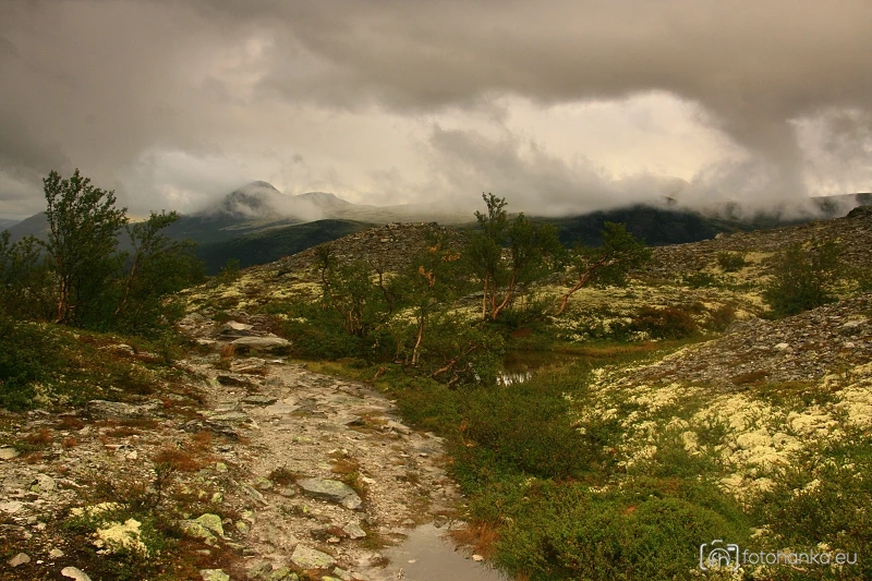 RONDANE