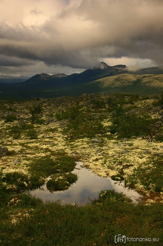 RONDANE