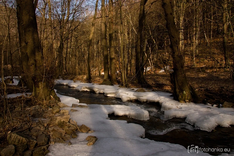 Předjaří na Prunéřovském potoce