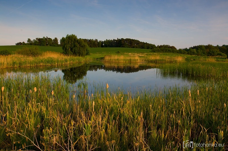 Mnichovec