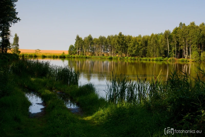 Jihočeský rybník