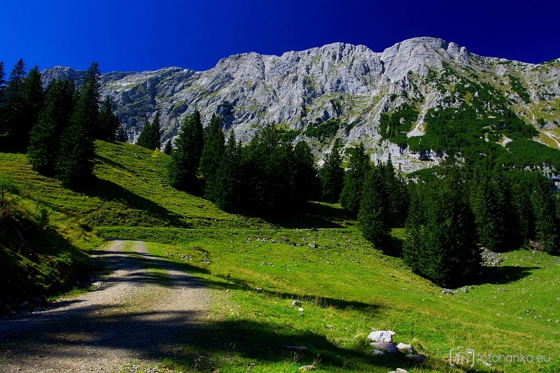Sulzkar