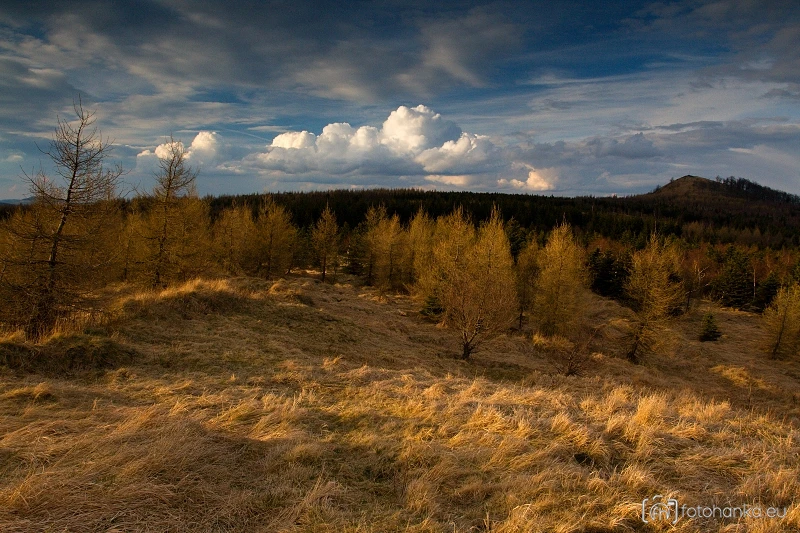Střední Špičák