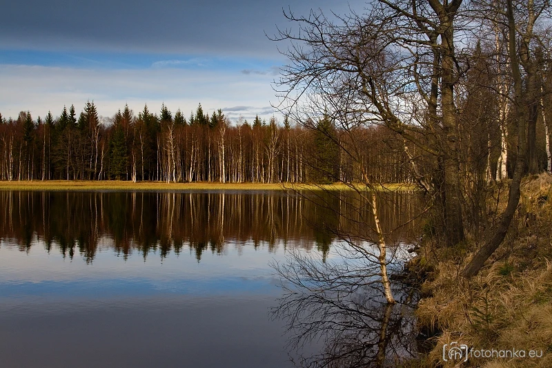 Starý rybník