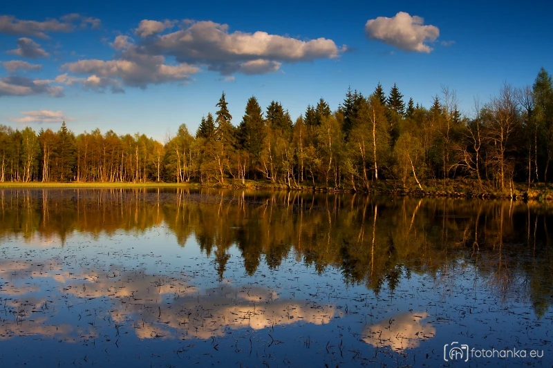 Starý rybník