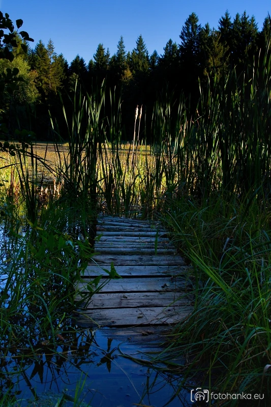 Loviště