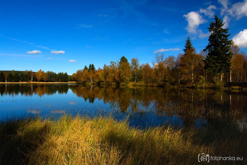 Nový rybník