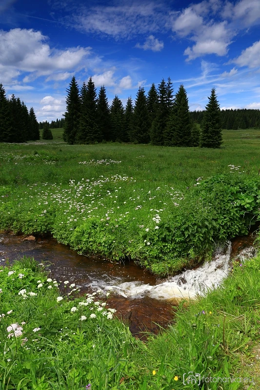 Božídarské rašeliniště