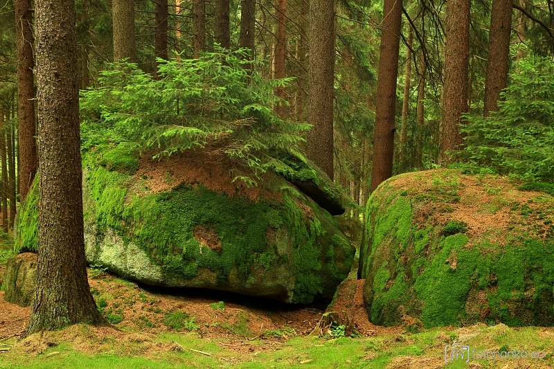 Česká Kanada
