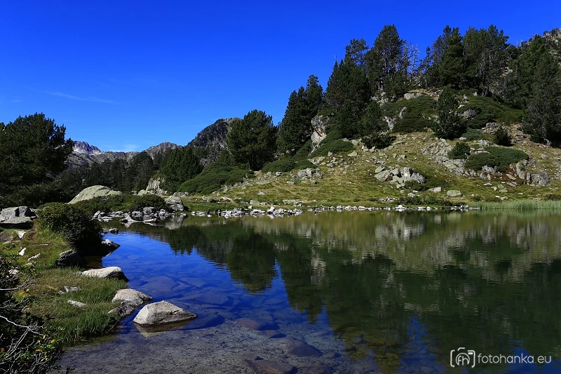 Pyreneje