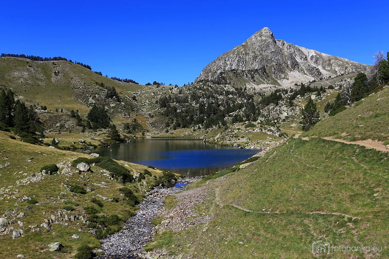 Pyreneje