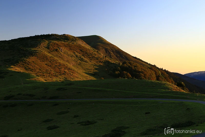 Pyreneje