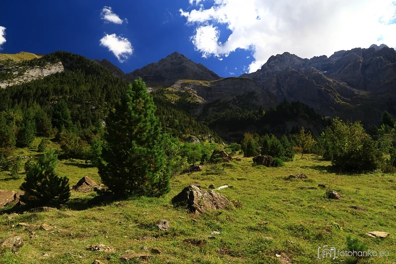 Pyreneje