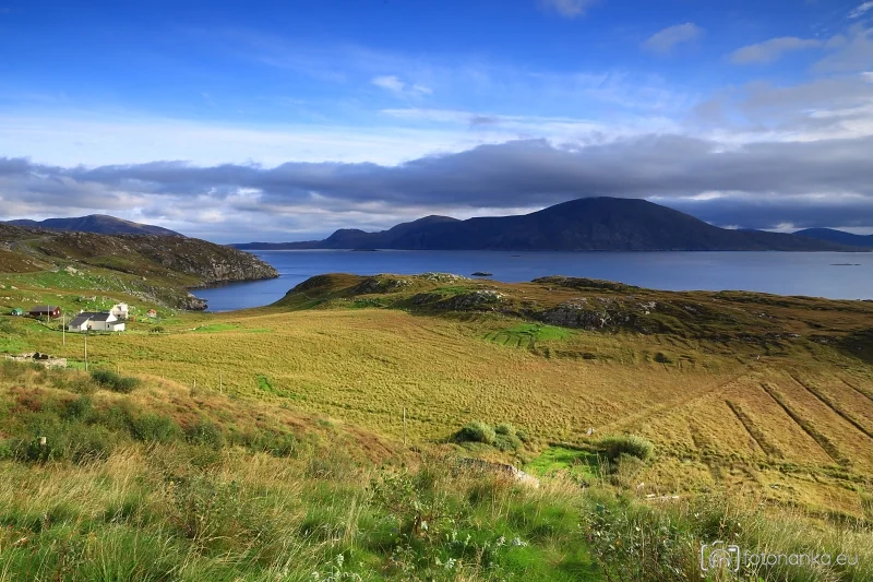 Harris