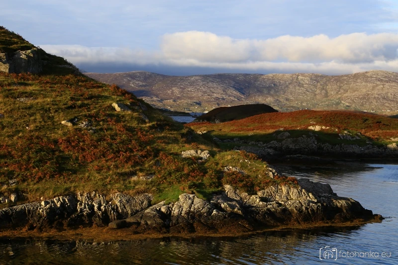 Harris