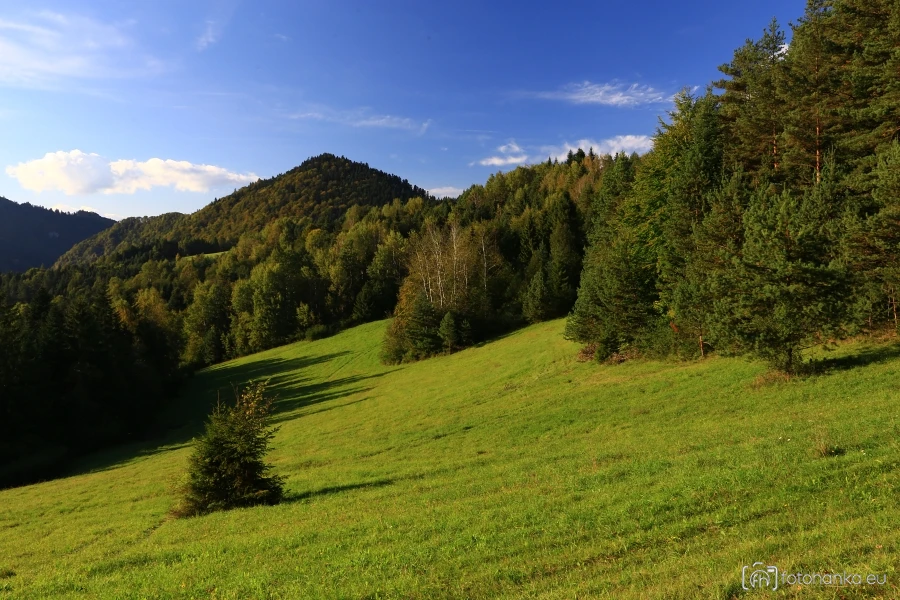 Pieniny