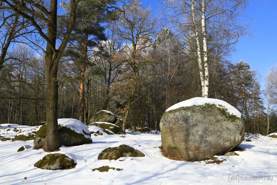 Les s balvany