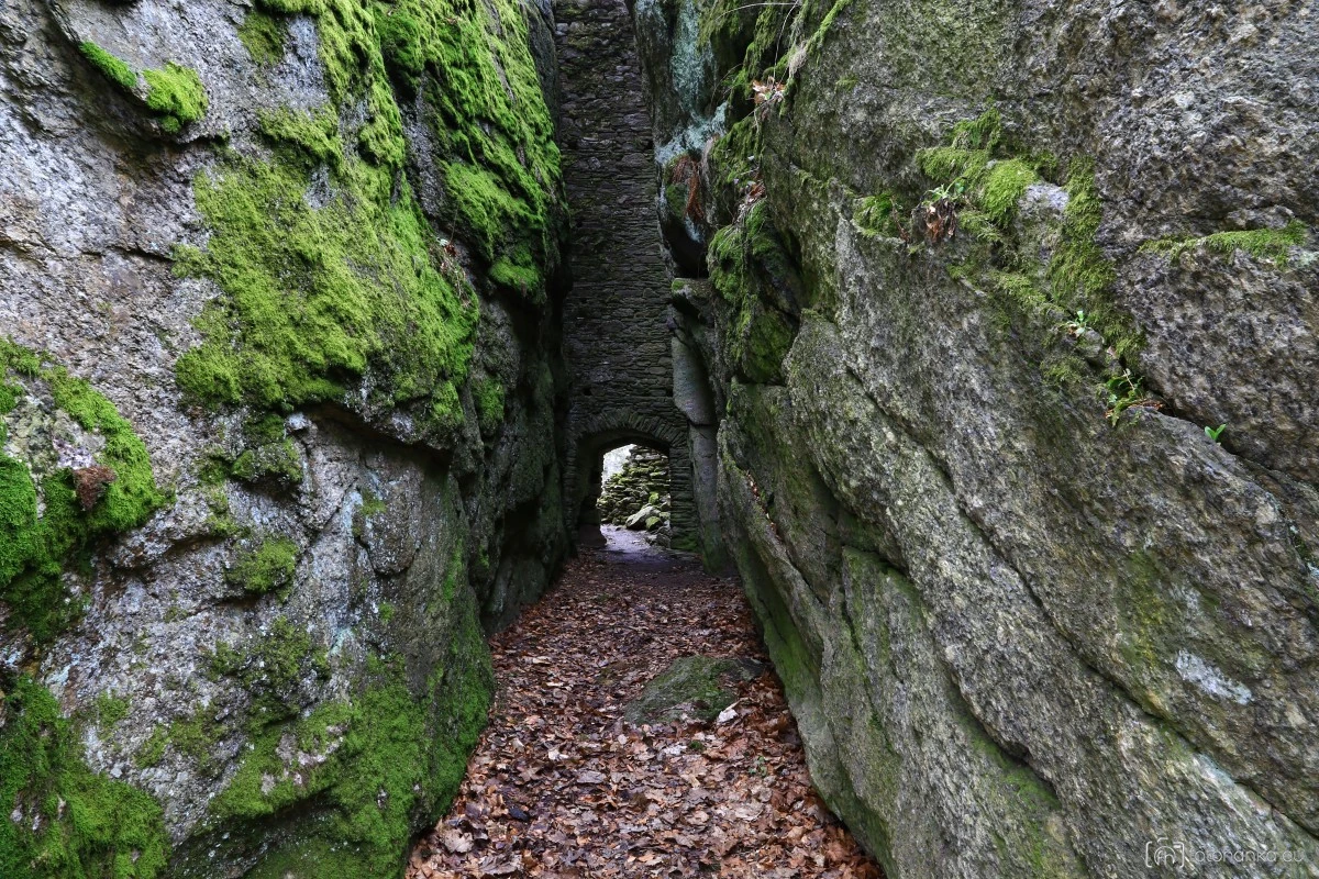 Štarkov