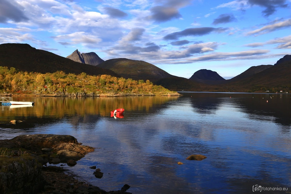 Fjordbotn