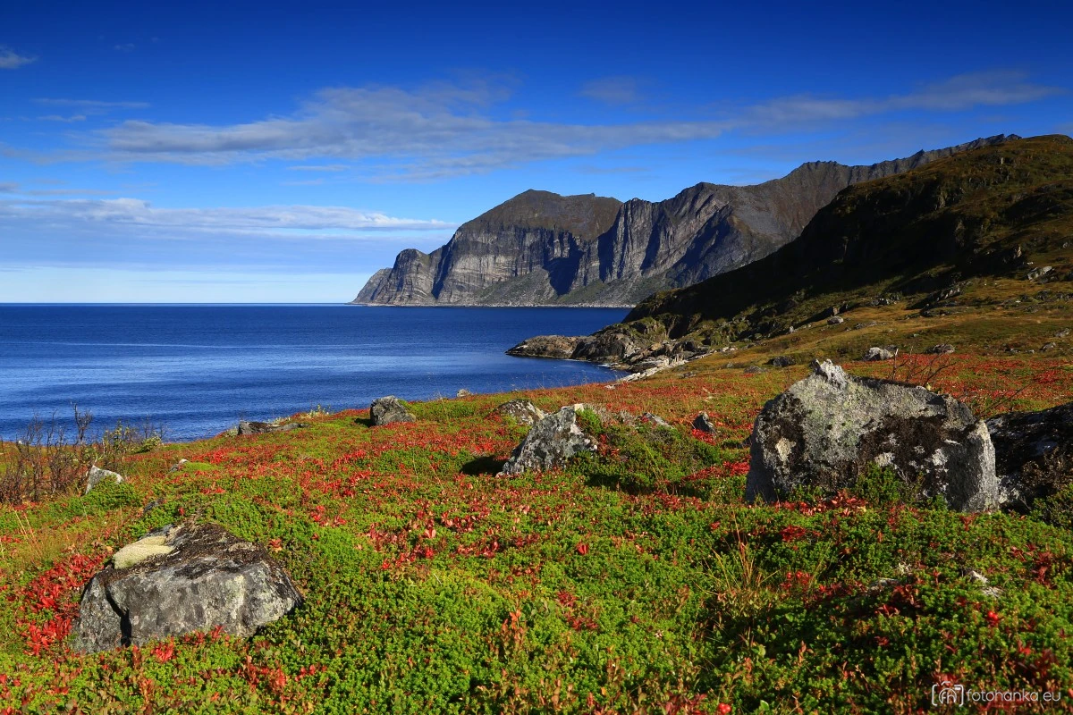 Senja
