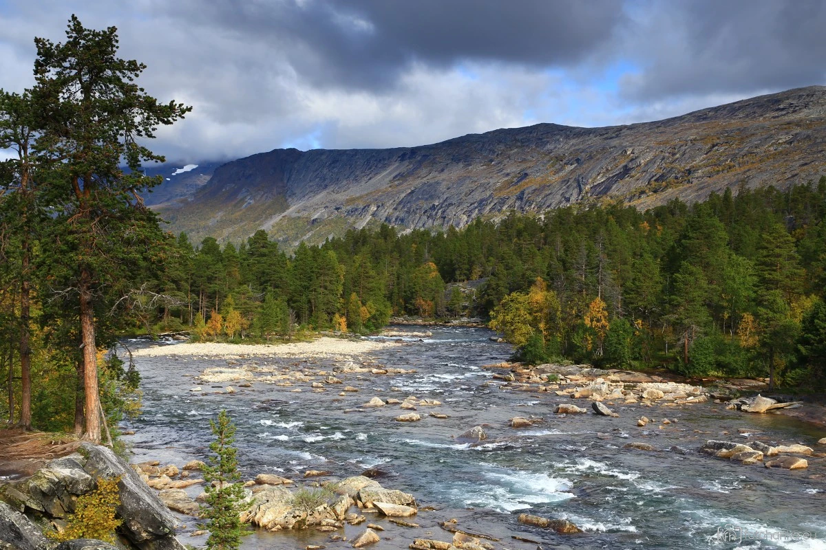 Lonselva
