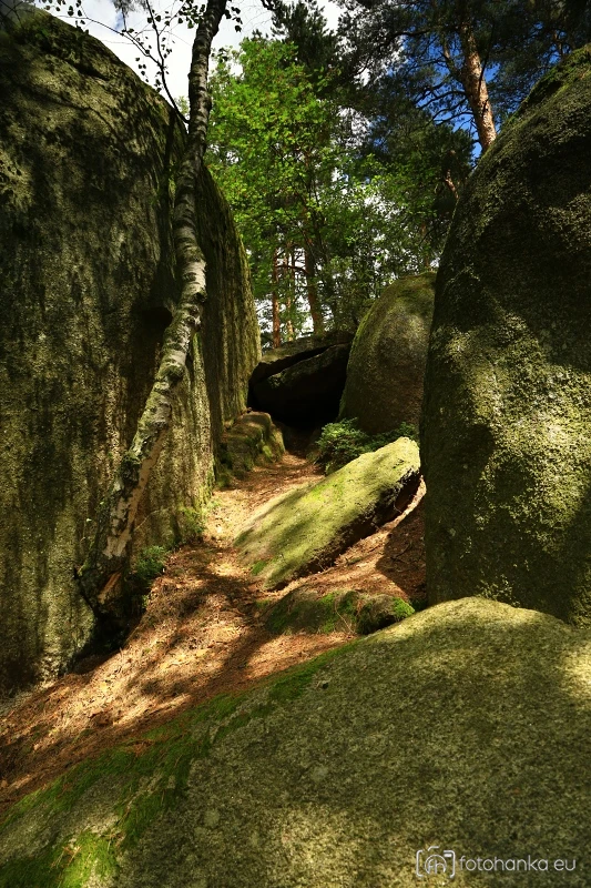 Novohradské hory
