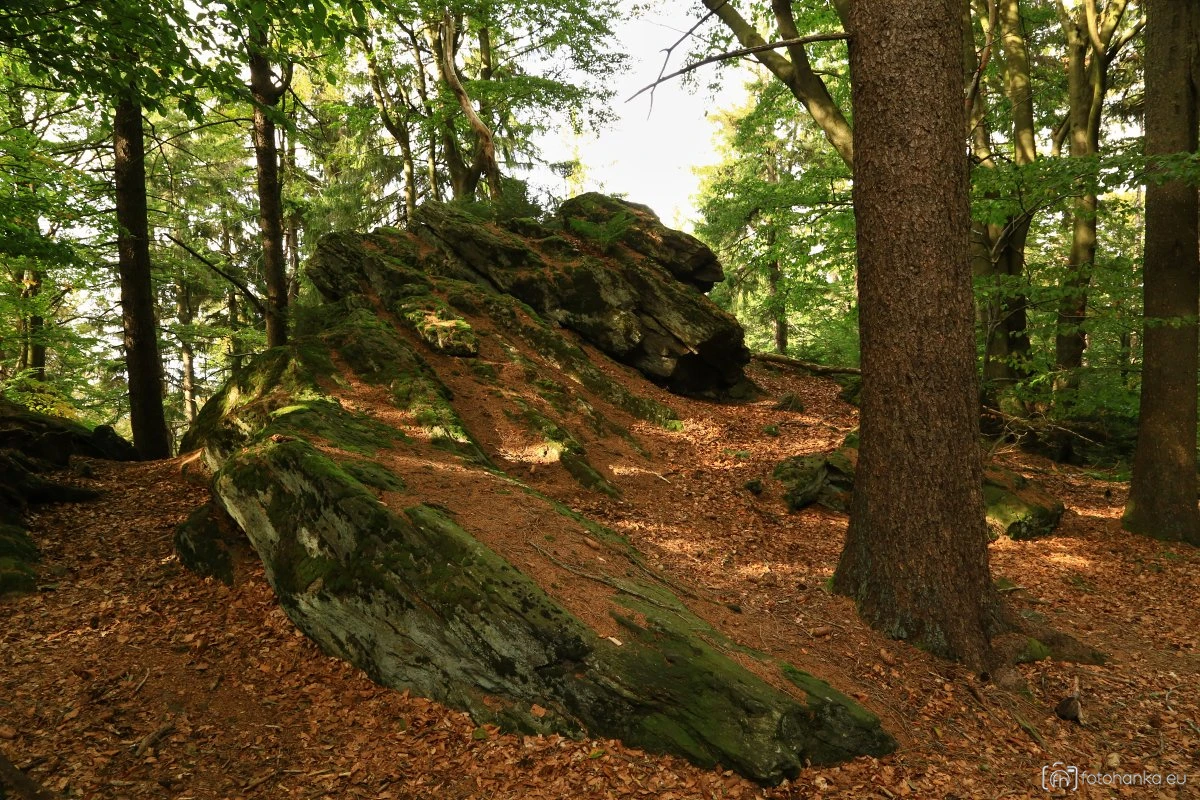 Lysá hora