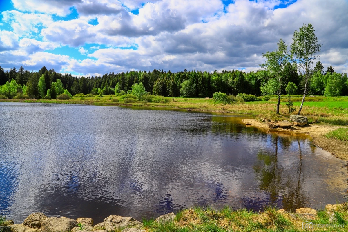 Hladový rybník