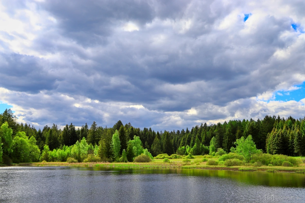 Hladový rybník
